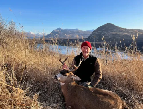 Sitka Deer Hunts