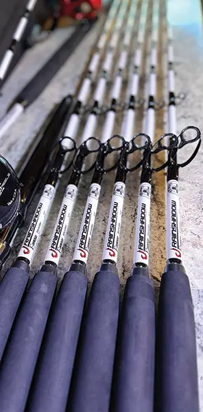 fishing rods